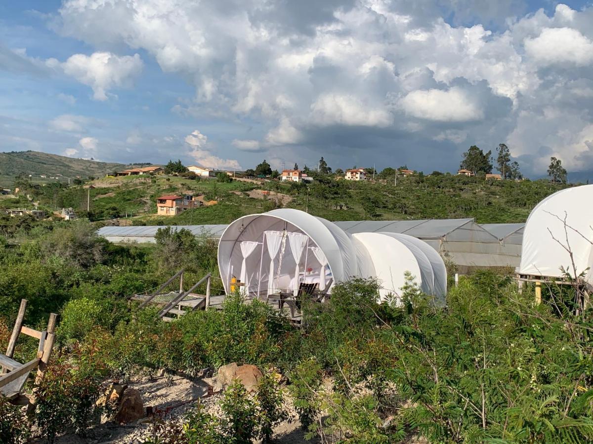 Origen Glamping En Вілья-де-Лейва Екстер'єр фото