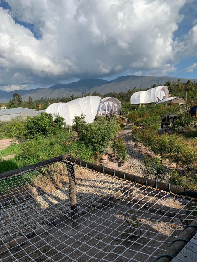 Origen Glamping En Вілья-де-Лейва Екстер'єр фото