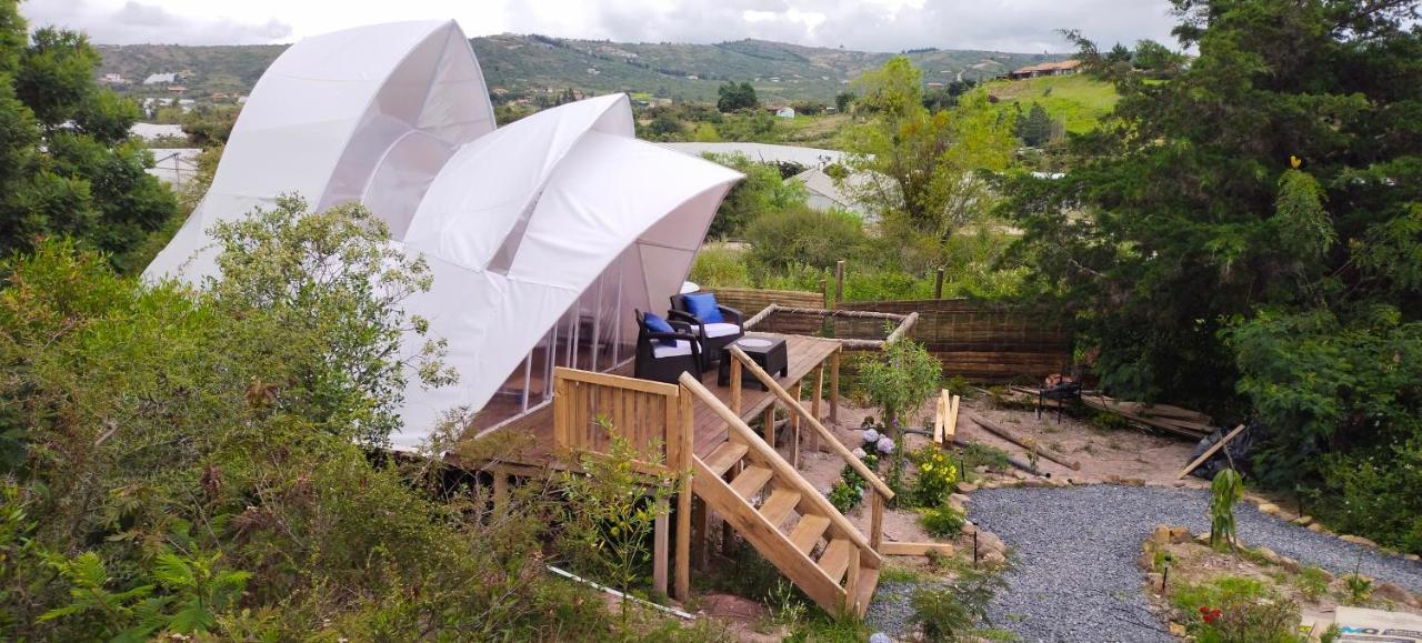 Origen Glamping En Вілья-де-Лейва Екстер'єр фото